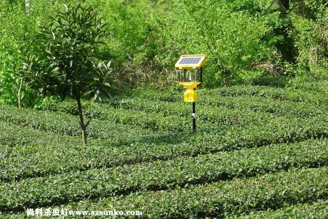 大品牌太陽能殺蟲燈廠家產(chǎn)品質(zhì)量有保障