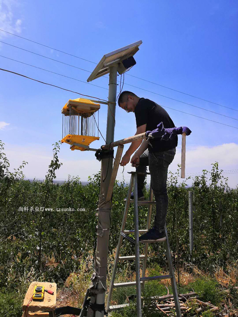 河南省果園太陽能殺蟲燈安裝現(xiàn)場效果圖