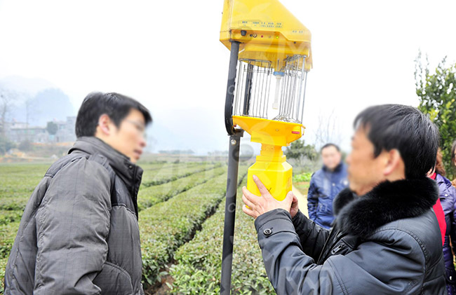 太陽能殺蟲燈不用時怎么處理